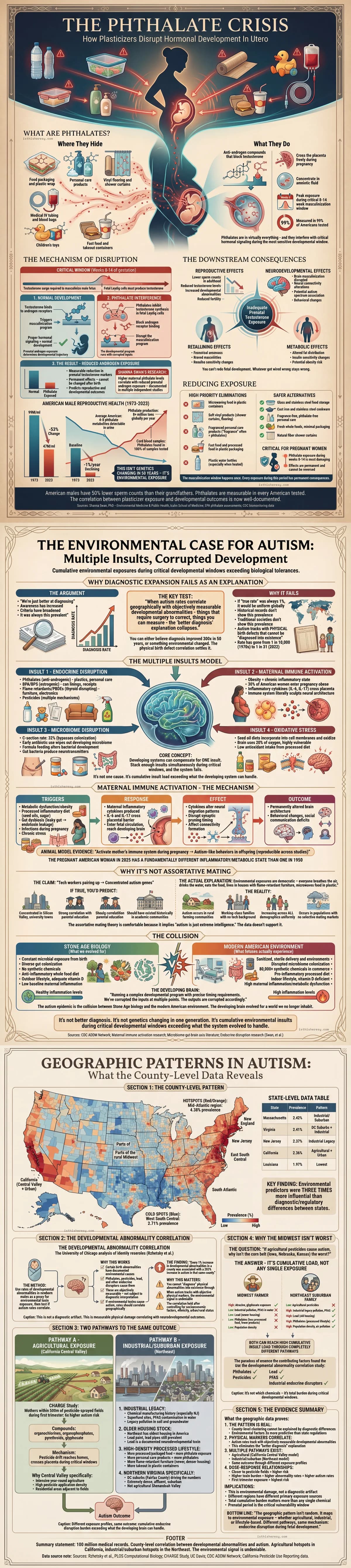 The Phthalate Crisis: Endocrine Disruption and Fetal Development
