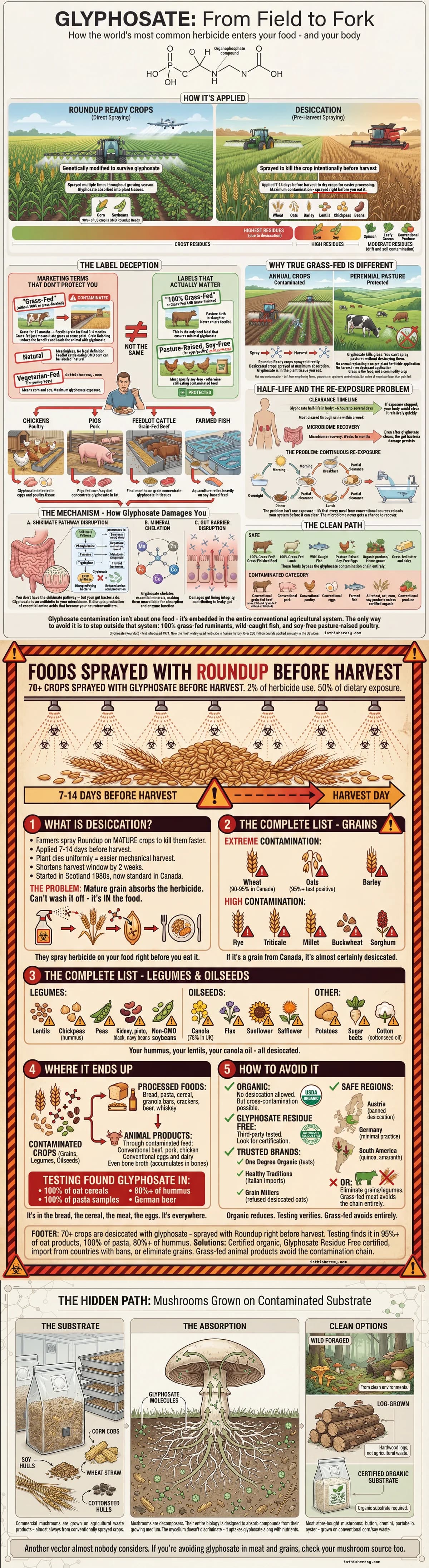 Glyphosate: The Antibiotic in Everything