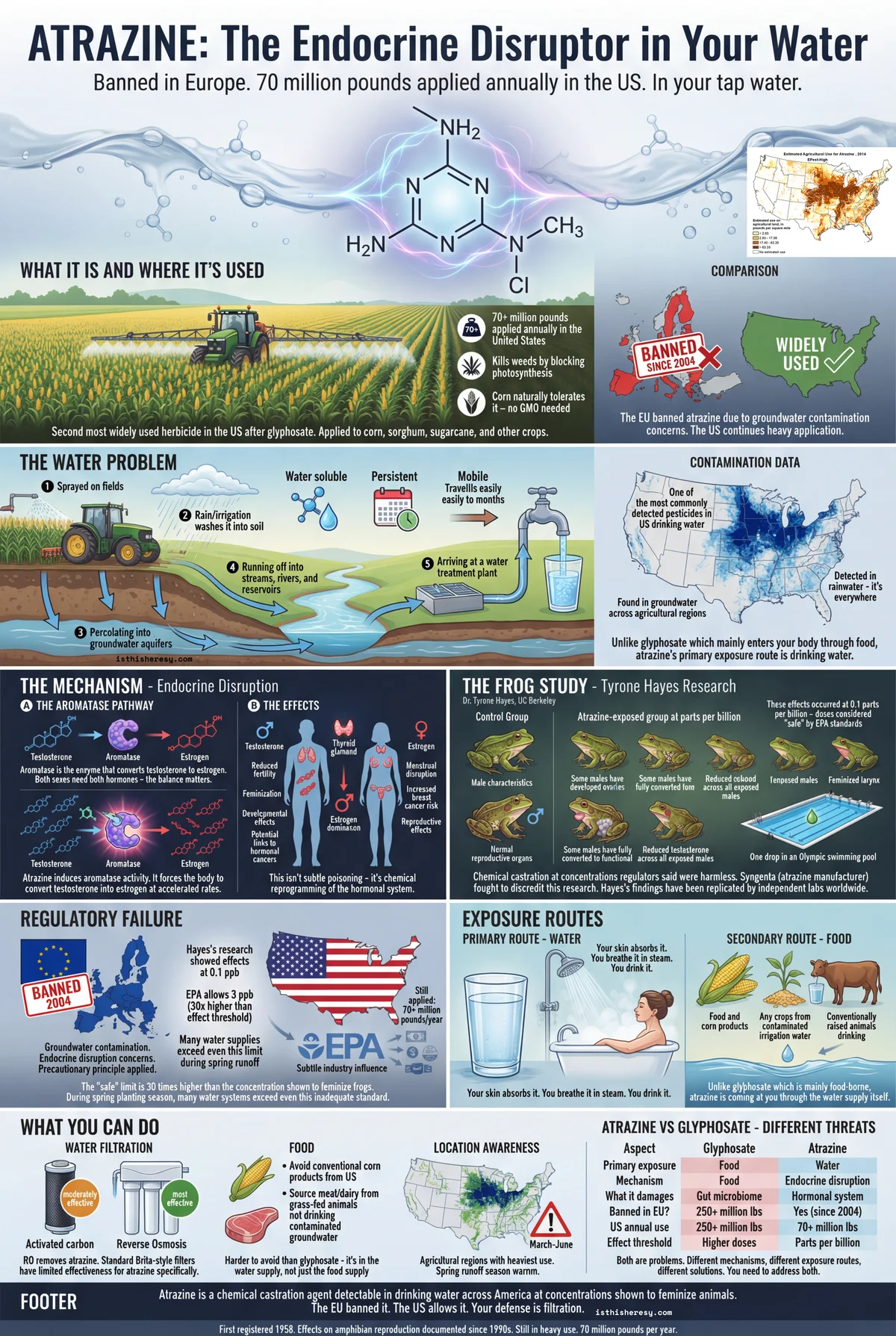 Atrazine: Chemical Feminization in Your Water