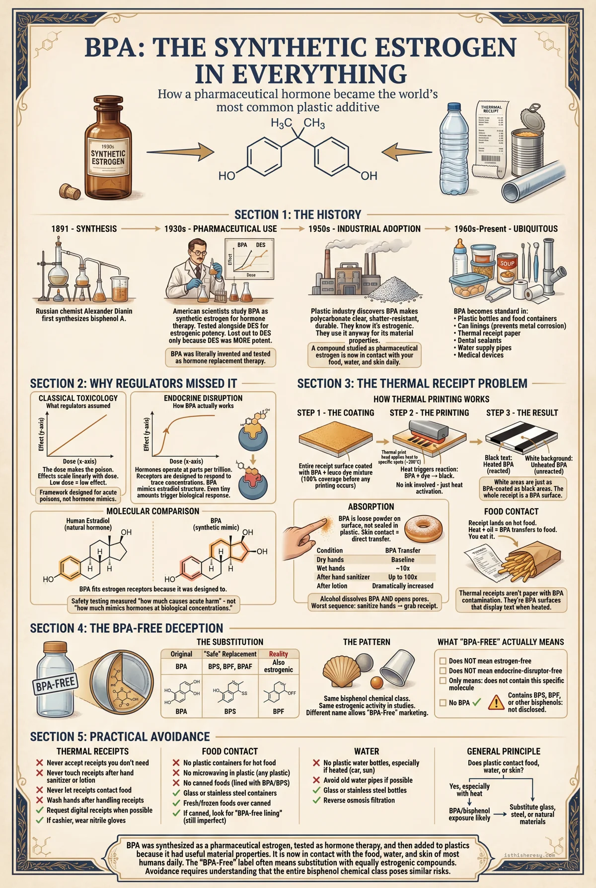 BPA: The Synthetic Estrogen In Everything