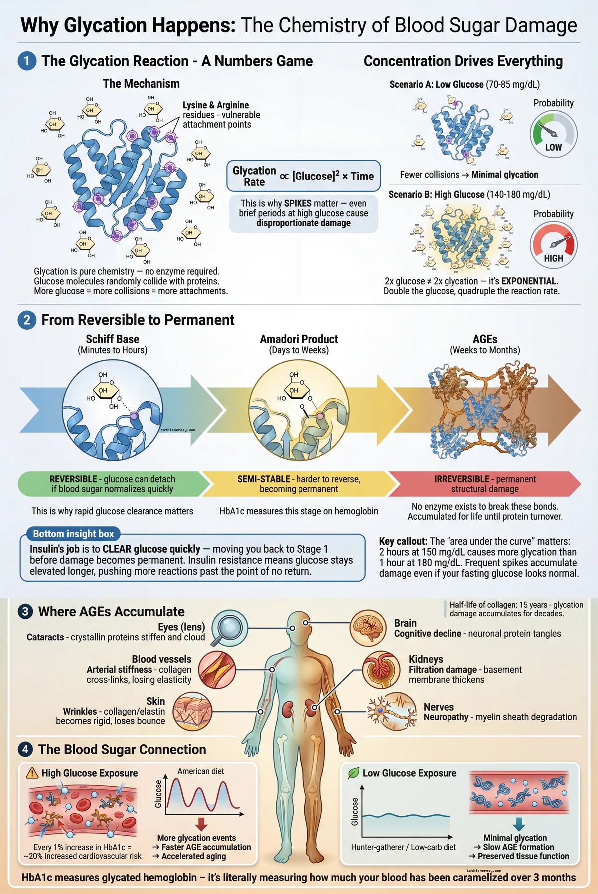 Glycation: Caramelizing From the Inside