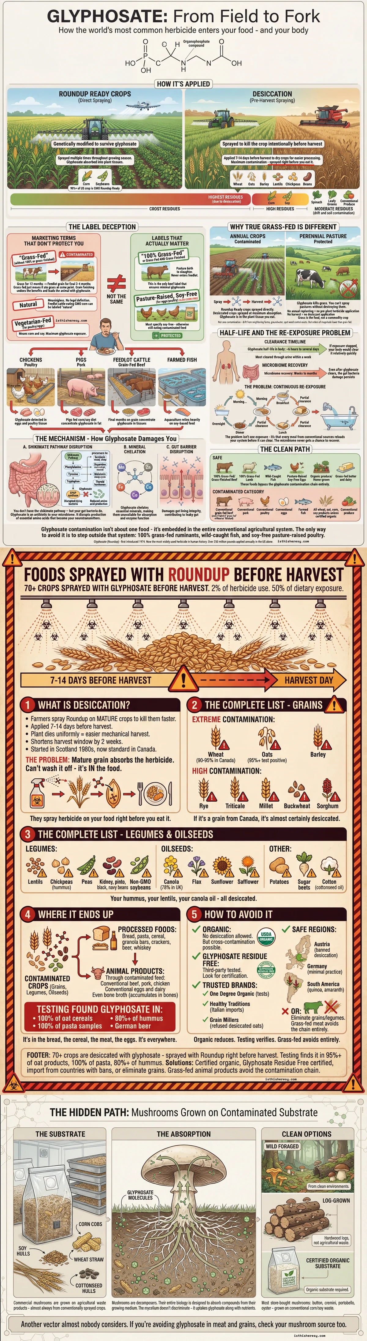 Glyphosate: The Antibiotic in Everything