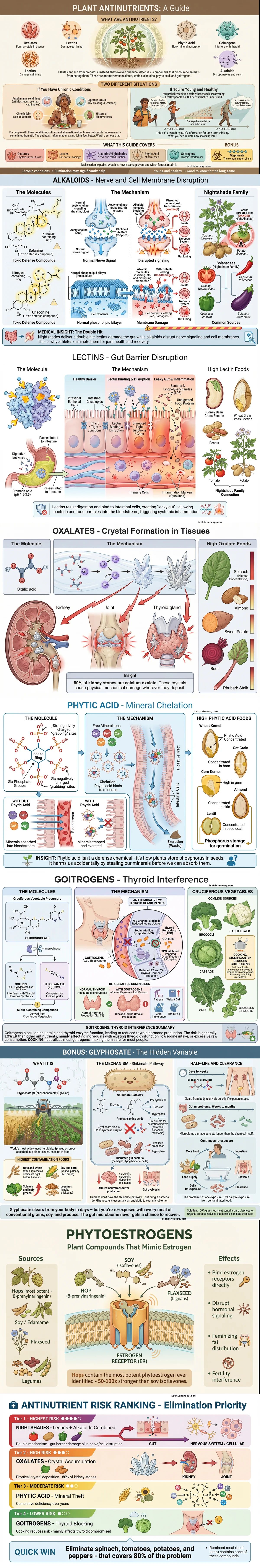 Plant Antinutrients: Nature's Chemical Defense