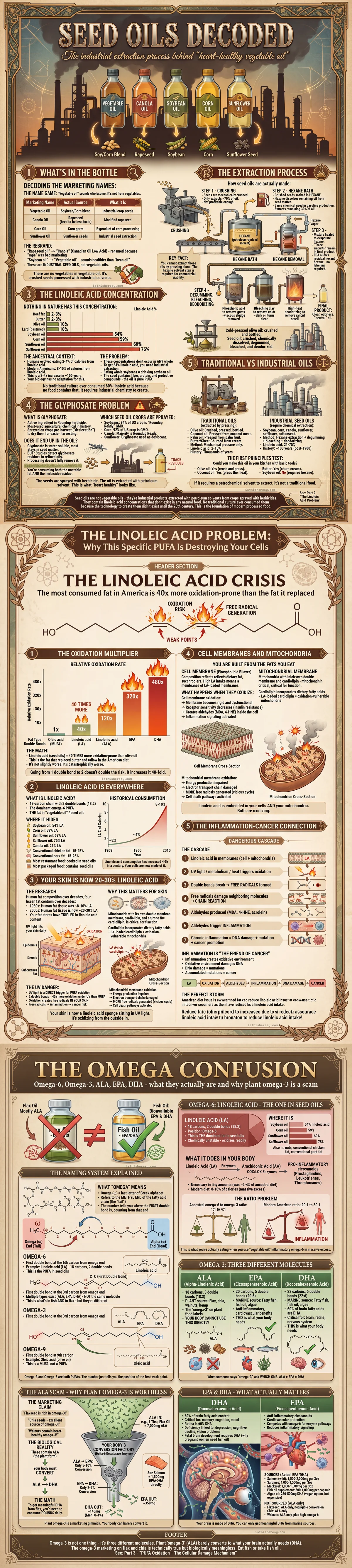Seed Oils Decoded: What "Vegetable Oil" Actually Is